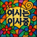 카카오톡 강제 업데이트를 당한 사람들을 위한 카카오톡 구버전으로 다운그레이드 하는 방법.jpg 이미지