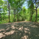 평화강변수목캠핑장 이미지