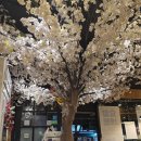 아비꼬 상무점 | 광주 상무지구 카레 맛집 [아비꼬 광주상무점] 가볍게 먹기 좋은 일본식 카레_251022