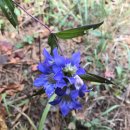 푸른길목장 이미지