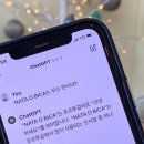 나따오비까 속초점 이미지