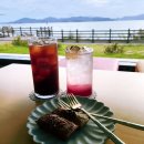 원대로북카페협동조합 | 삼천포 카페 남해바다뷰 삼천포대교 북카페 카페대방진굴항