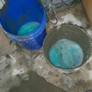예인예가