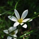 무릉리-8 이미지