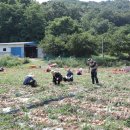 요셉농장 이미지