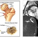 이황우에스제이의원 이미지