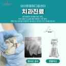 한림동물병원 이미지