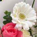 참조은생활마트 이미지