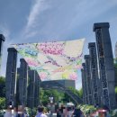 울산 6월 장생포 수국축제 라벤더 고래마을 방문 후기