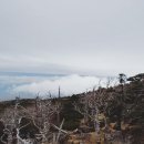 한라산 당구장 이미지