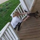 꽃보다 개 이미지