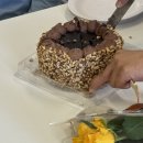 주은스틸 | 아직까지 실감 안 나는 호주 워홀 103일차~121일차🇦🇺 | 브리즈번 맛집 탐방기😋