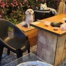 글램독 경주 A동 이미지