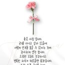 강일태권도 네이버블로그