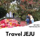 3월 제주도 가볼만한곳 제주 관광지 카멜리아힐 주변 여행 모음 ZIP