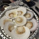 바다속해물