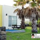 사계 아올 이미지