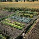 정인농장 이미지