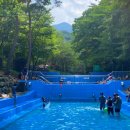 만수산자연휴양림 이미지