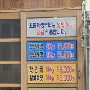 낙원 | 여수 오동도 간장게장 포장 맛집 낙원식당