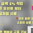 헤라스빈야드 이미지