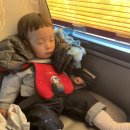 전일목장 이미지