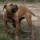 메이데이 이미지