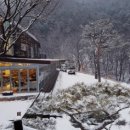 힐리언스 이미지