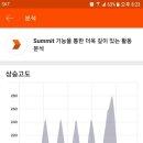 와리가리 이미지