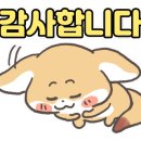 한우불곱창구이