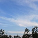 송도 새아침공원 이미지