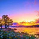 두물머리 이미지