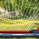 수우농장 이미지