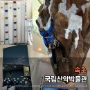 그림으로 말해요 아이마음읽기 | 속초 아이와 가볼만한 곳 국립산악박물관 솔직 후기