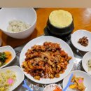 이미견 밥엔 낙지볶음 이미지