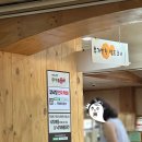 착한낙지홍도점 | 대전 홍도동/ 육전에 싸먹는 낙지볶음 체인점 중에 가장 맛있는 착한낙지 홍도점
