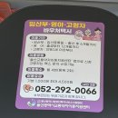 안성시 교통약자이동지원센터 | 울산교통약자지원센터 임산부 이용 후기 | 부르미 택시 신청방법, 이용횟수 총정리