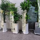 서검법률사무소변호사장영준