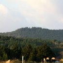 남원읍-73 Daum카페