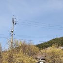 일성콘도화장실 이미지