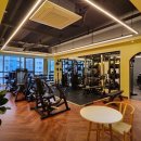 온바디짐 이미지