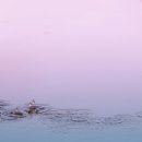 반야월한의원 이미지