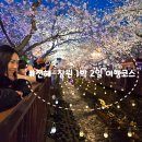 중원-65 | 2024년 진해 군항제 후기 및 진해-창원 1박 2일 여행 코스(ft.2026년 진해 군항제 일정)