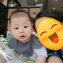 모모마트 이미지