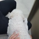 서울웰동물의료센터 이미지