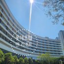 구구족김해 | 롯데호텔앤리조트 김해 더블트윈 룸컨디션, 배달음식 , 진하이 중식당 후기
