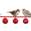 신현공인중개사사무소 이미지