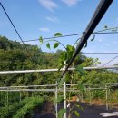 한실농장 이미지