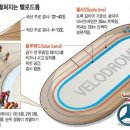 "벨로드롬(velodrome)"의 어원 이미지