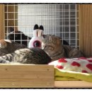 백송타워 이미지